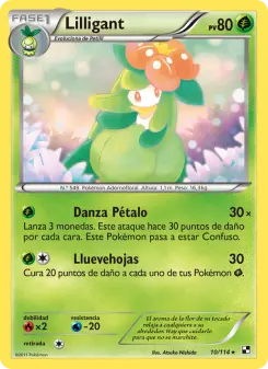Lilligant, Negro y Blanco 10