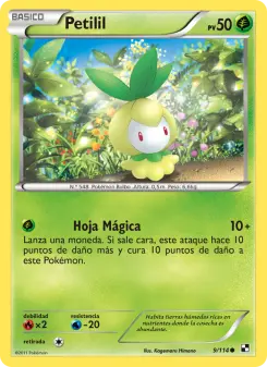 Petilil, Negro y Blanco 9