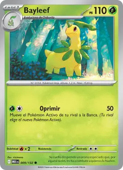 Bayleef, Megaevolución 009