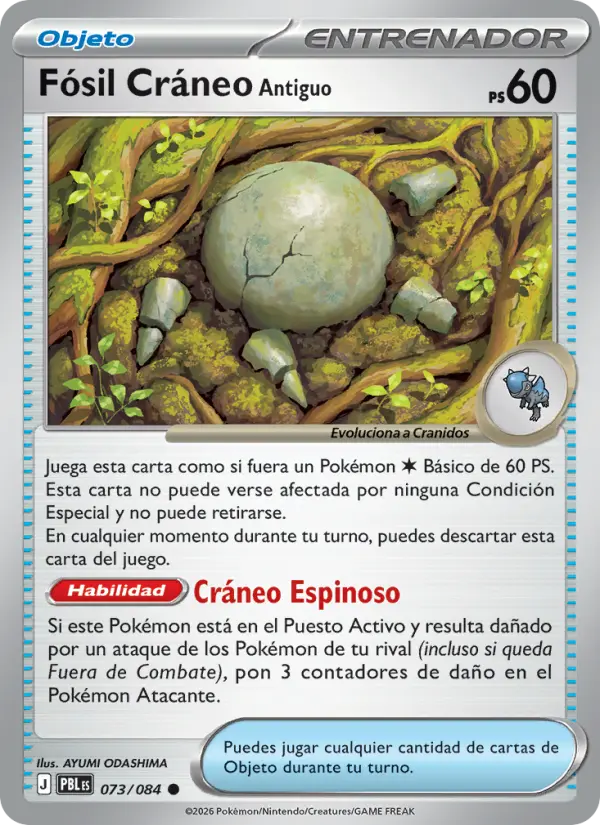 Fósil Cráneo Antiguo, Oscuridad Absoluta 073