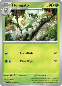 Floragato, Escarlata y Púrpura 014