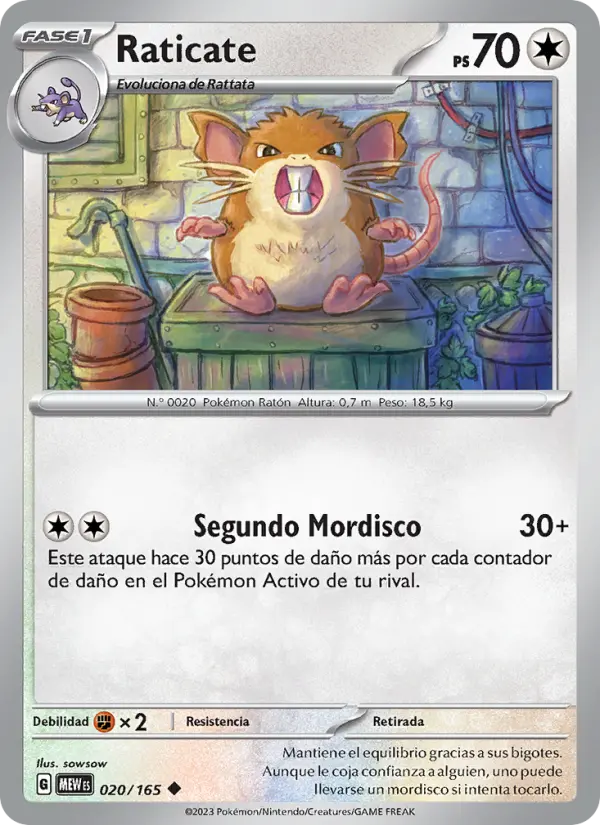 Raticate, 151 020