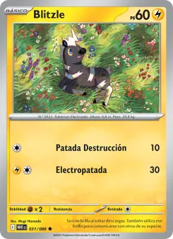 Blitzle, Llama Blanca 031