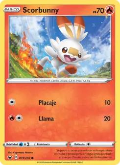 Scorbunny, Espada y Escudo 31