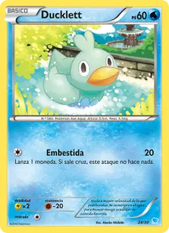 Ducklett, Kit de Entrenador XY (Suicune) 24