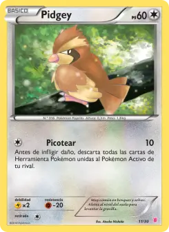 Pidgey, Kit de Entrenador XY (Wigglytuff) 11